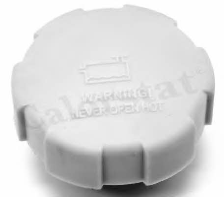 Expansion tank cap Vernet RC0008