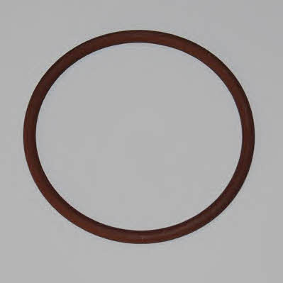 Wahler 119078 Termostat gasket 119078