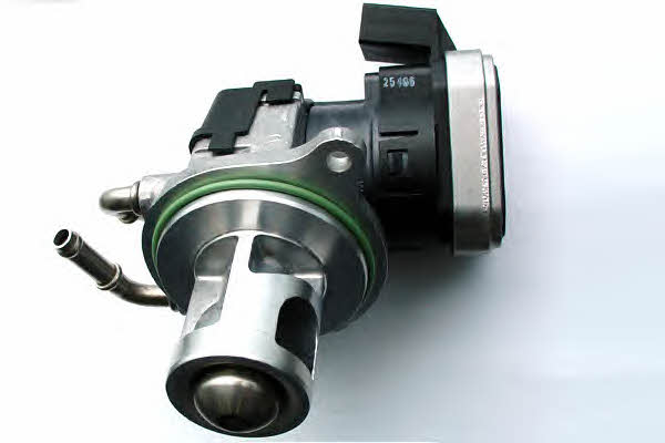 7504D Wahler EGR Valve