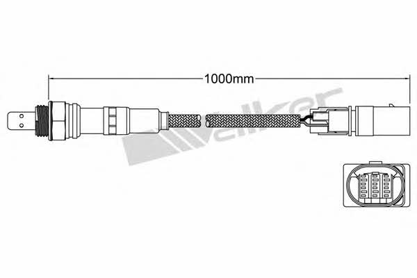 Buy Walker 800-95018 at a low price in United Arab Emirates!