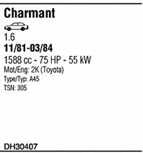  DH30407 Exhaust system DH30407