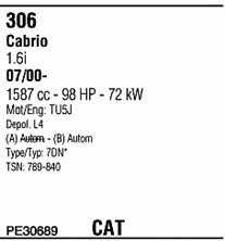 PE30689 Walker Exhaust system