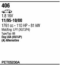 PET05230A Walker Exhaust system