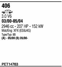 PET14763 Walker Exhaust system