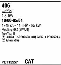 PET15557 Walker Exhaust system