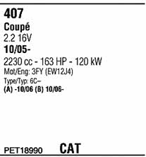 PET18990 Walker Exhaust system