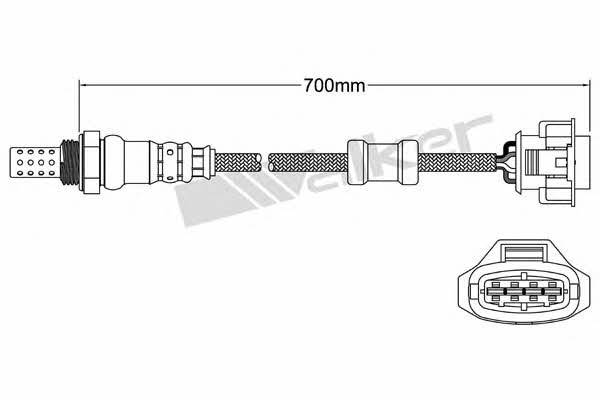 Buy Walker 250-24712 at a low price in United Arab Emirates!