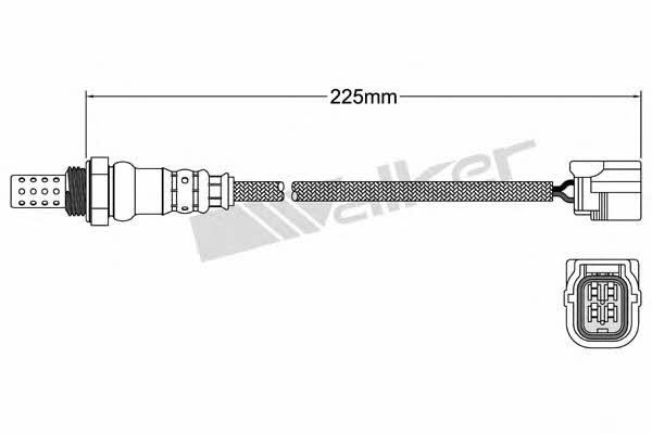 Buy Walker 250-24833 at a low price in United Arab Emirates!