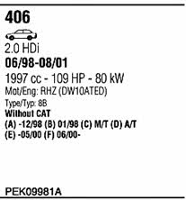 PEK09981A Walker Exhaust system