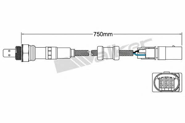 Buy Walker 800-95026 at a low price in United Arab Emirates!