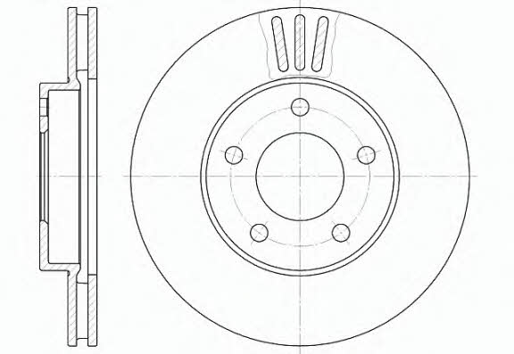 Woking D61020.10 Front brake disc ventilated D6102010