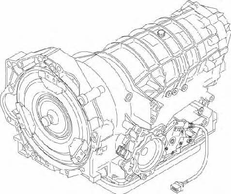 ZF 1060 030 116 Automatic transmission 1060030116