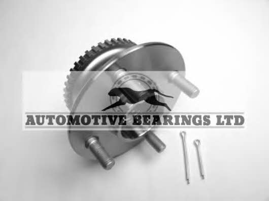 Automotive bearings ABK1304 Wheel bearing kit ABK1304