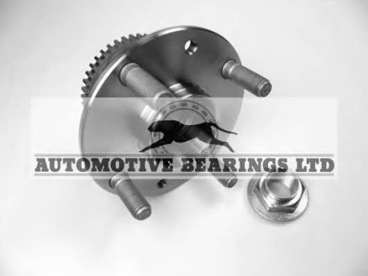 Automotive bearings ABK1363 Wheel bearing kit ABK1363