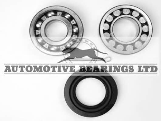 Automotive bearings ABK1482 Wheel bearing kit ABK1482