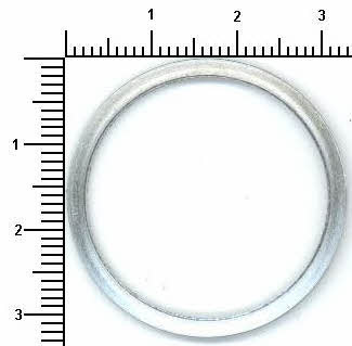 Wilmink Group WG1085236 Ring sealing WG1085236