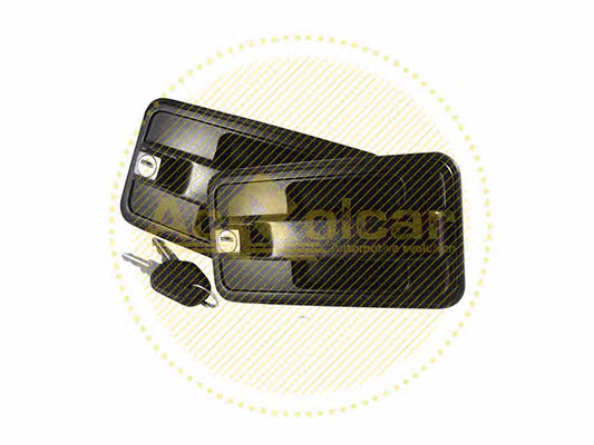 Rolcar 42.2506 Handle-assist 422506