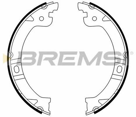 Bremsi GF0429 Parking brake shoes GF0429