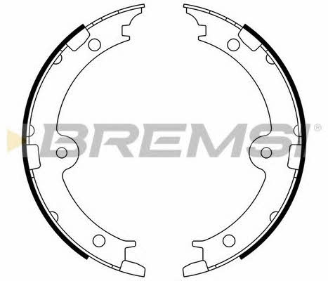 Bremsi GF0974 Parking brake shoes GF0974