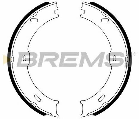 Bremsi GF0315 Parking brake shoes GF0315