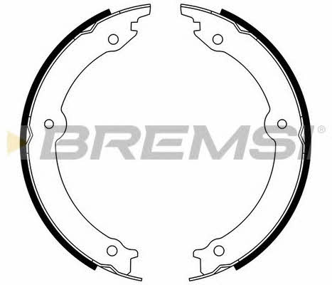 Bremsi GF0973 Parking brake shoes GF0973