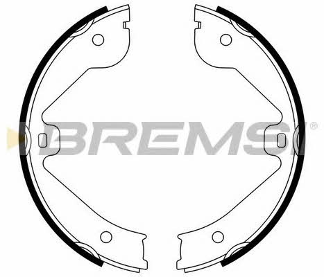 Bremsi GF0314 Parking brake shoes GF0314