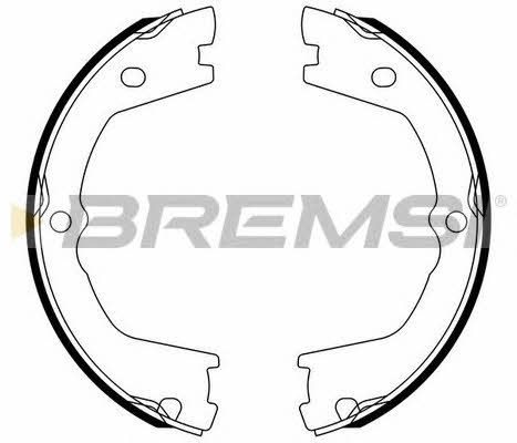Bremsi GF0142 Parking brake shoes GF0142