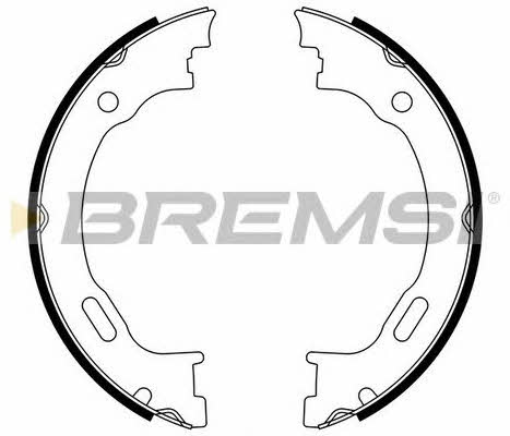 Bremsi GF0310 Parking brake shoes GF0310