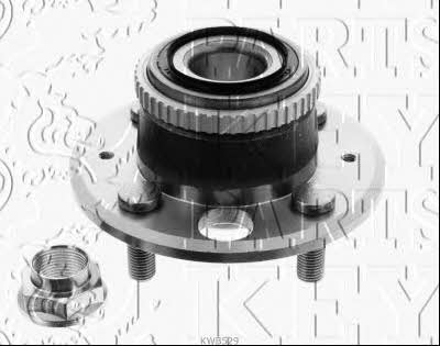 Key parts KWB529 Wheel bearing kit KWB529