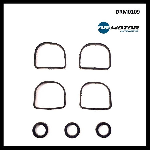 Dr.Motor DRM0109 Intake manifold gaskets, kit DRM0109