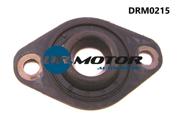 Dr.Motor DRM0215 Seal, injector holder DRM0215