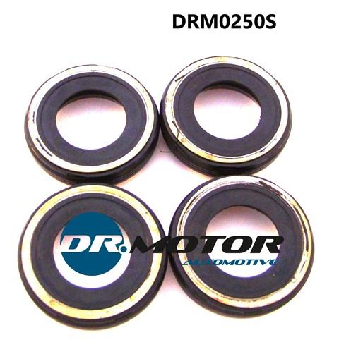 Dr.Motor DRM0250S O-RING,FUEL DRM0250S