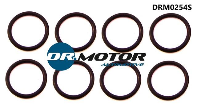 Dr.Motor DRM0254S Seal Ring, nozzle holder DRM0254S